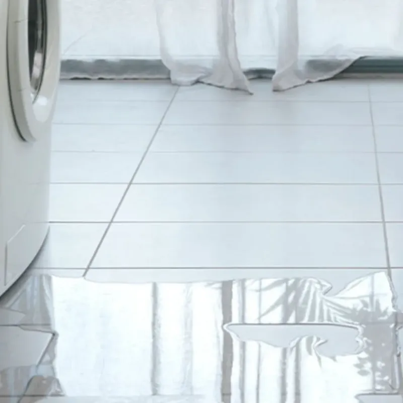 Appliance Leak Cleanup in Montpelier, IN