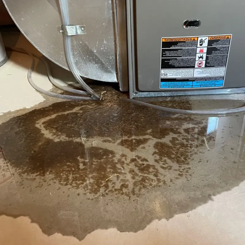 Pipe Burst and Leak Restoration in Montpelier, IN