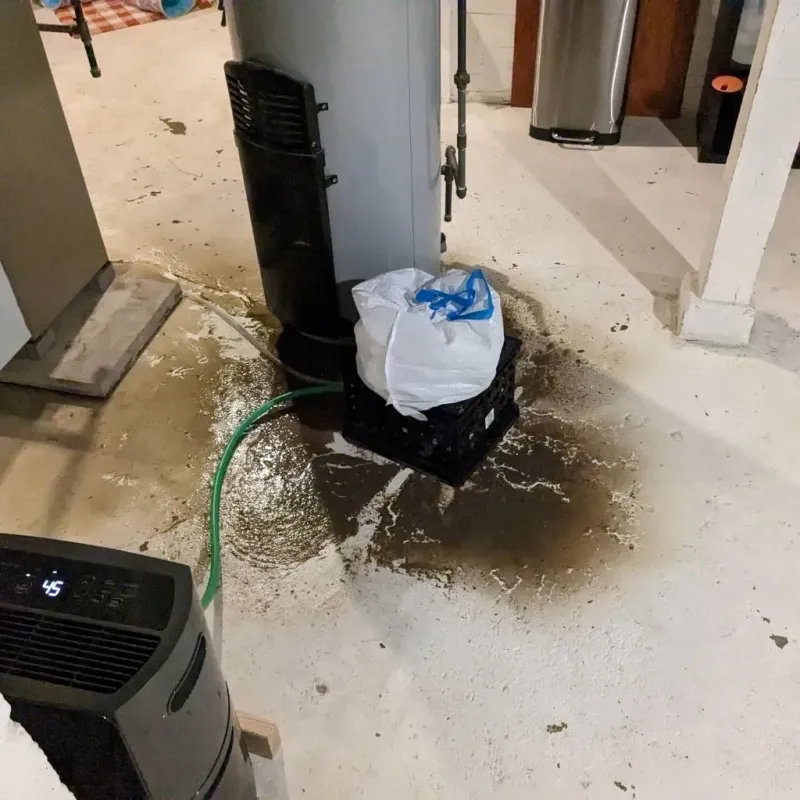 Sewage Backup Cleanup Service in Montpelier, IN